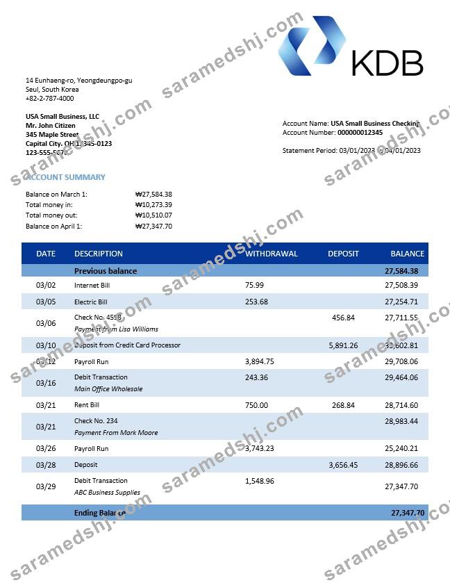 KDB Group bank firm account statement Word and PDF template